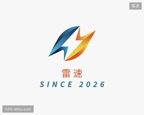 认识雷速公司